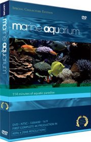 Marine Aquarium