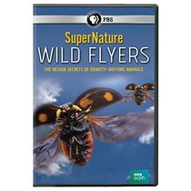 SuperNature - Wild Flyers