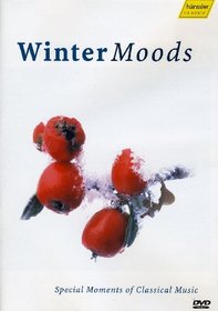 WINTER MOODS