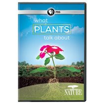 Nature: What Plants Talk About