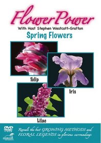 Flower Power: Spring Flowers