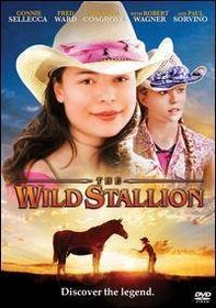 The Wild Stallion