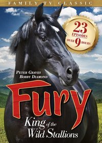 Fury: The King of the Wild Stallions