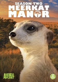 Meerkat Manor: Season 2