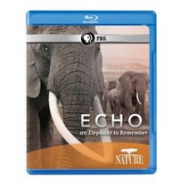 Echo: An Elephant to Remember (Nature) Blu ray
