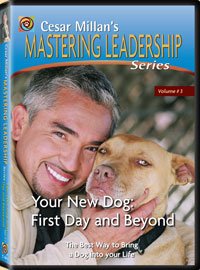 Cesar Millan's Mastering Leadership Series Volume 3: Your New Dog: First Day And Beyond