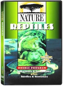 Nature: Reptiles