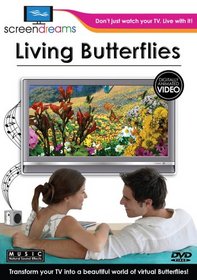 Living Butterflies