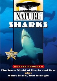 Nature: Sharks