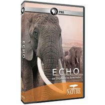 Echo: An Elephant to Remember