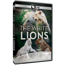 Nature: The White Lions