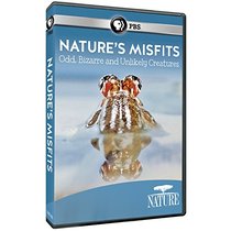 Nature: Animal Misfits