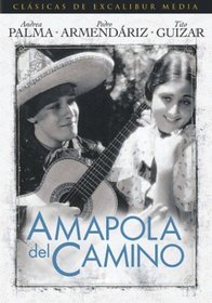 Amapola del Camino