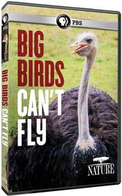 Nature: Big Birds Can't Fly