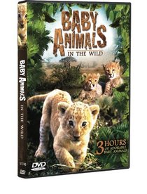 Baby Animals in the Wild (3 Hour Documentary)