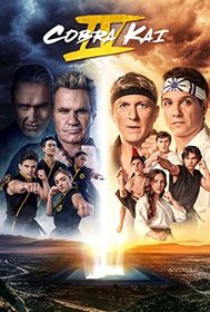 Cobra Kai Season 4 [DVD]