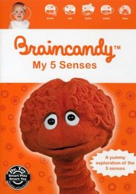 Braincandy - My 5 Senses