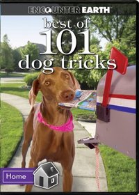 Best of 101 Dog Tricks