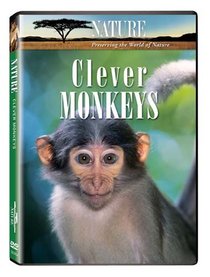 Nature:Clever Monkeys