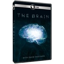 Brain With David Eagleman