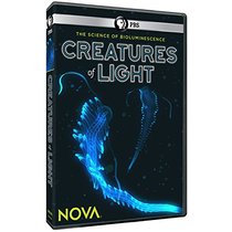 Nova: Creatures of Light