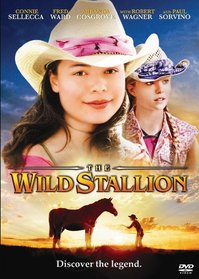 Wild Stallion