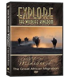 Explore the Wildlife Kingdom: Wildebeest - The Great African Migration