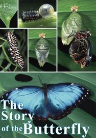 The Story of the Butterfly