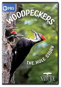 NATURE: Woodpeckers - The Hole Story