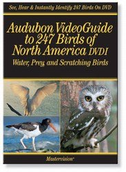 Audubon 1: Video Guide 247 Birds of North America