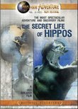 The Secret Life of Hippos