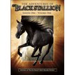 The Adventures of The Black Stallion V.1 (6 Episodes)