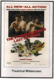 The Street Fighter's Last Revenge: Theatrical Widescreen