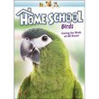 Home School: Birds