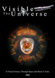 The Visible Universe: A Visual Journey Through Space and Back in Time. NASA - Hubble Space Telescope