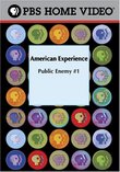 American Experience: Public Enemy #1