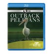 Nature: Outback Pelicans [Blu-ray]