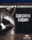 Nature: Raccoon Nation [Blu-ray]