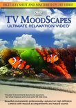 TV Moodscapes: Ultimate Relaxation Video