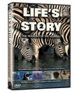 Life's Story 2: The Reason For The Journey