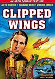 Aviator Double Feature: Clipped Wings (1937) / Skybound (1935)