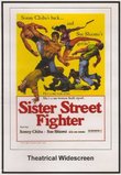 Sister Street Fighter: Threatrical Widescreen