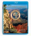 Scenic Walks Around the World: Our Dramatic Planet [Blu-ray]