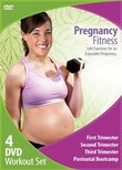 Pregnancy Fitness