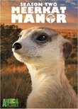 Meerkat Manor, Season 2