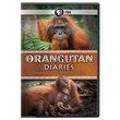 Orangutan Diaries