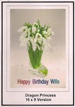 Dragon Princess: Greeting Card: Happy Birthday Wife