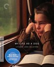 My Life as a Dog (Criterion Collection) [Blu-ray]