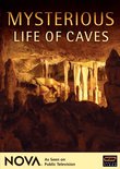 Mysterious Life of Caves - NOVA