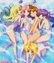 Girls Bravo : Erotic Animation - 16 Episode Collection - 4 DVD SET